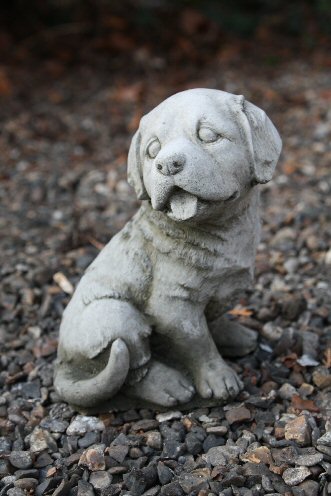 KA169 Small Retriever KA169 Small Retriever